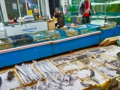 -日照灯塔风景区