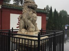 -关林