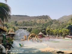 -西双版纳原始森林公园