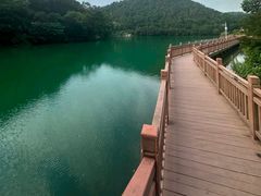 -桃花岭景区