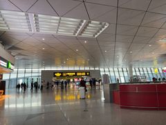 -郑州新郑国际机场-T2航站楼
