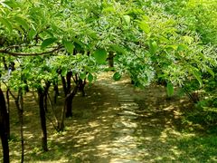 -国家植物园南园