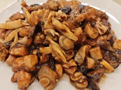 八珍豆腐-奥华餐厅·老张记(台基厂店)