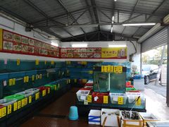 -崖口红树林海鲜餐厅