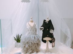 -BABYDOG宝贝狗宠物乐园(欧洲城店)