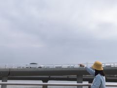-演武大桥观景平台