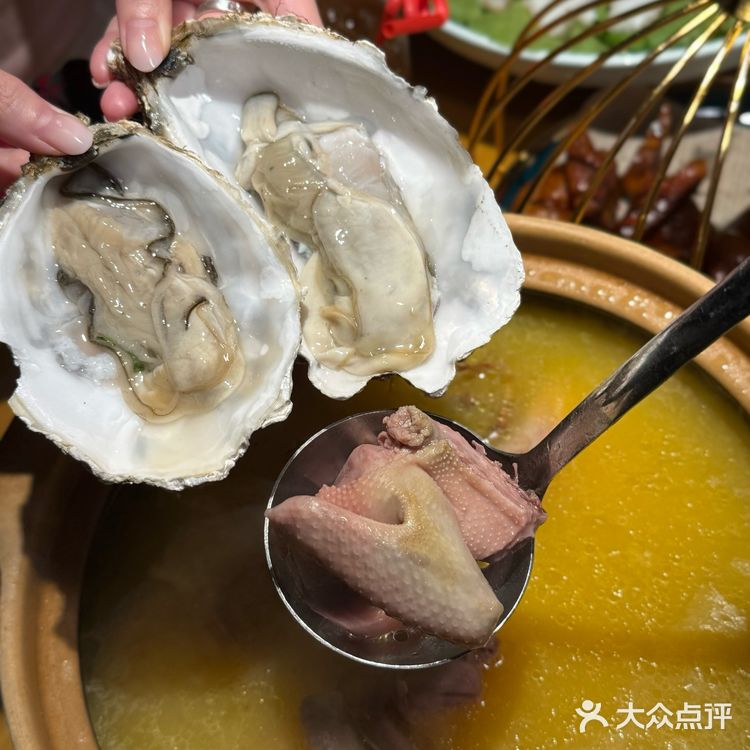 今天简直被这鸽子肉给香迷糊啦——文鸽苑
