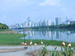 -南宁南湖公园