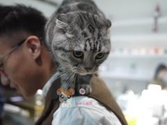 -UNI UNI(环亚凯瑟琳店)