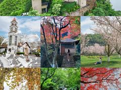-莫干山风景区