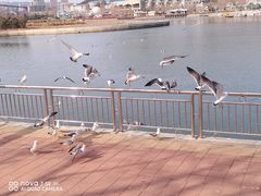 -大连老虎滩海洋公园