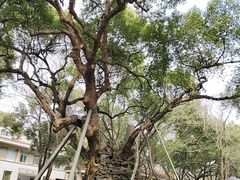 -中国人民解放军联勤保障部队第九〇三医院(九里松院区)