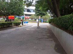 -福建省奥林匹克体育中心-体育馆