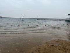 -碧海金沙