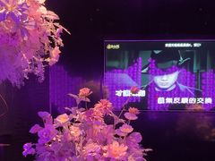 -黑桃K生日订制KTV