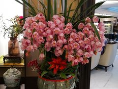 -美豪怡致酒店(上海长寿路店)