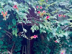 -斯多格书乡(北京大学畅春园店)