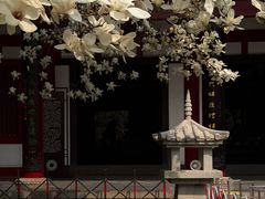 -大慈恩寺(大雁塔)