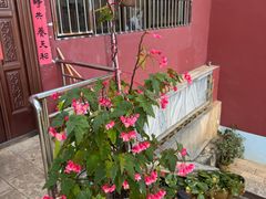 -抚仙湖禄充风景区
