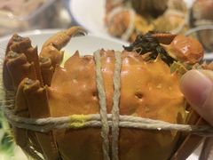 -杨氏青龙虾·羊蝎子(金盛路总店)