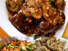 -鲤鱼塘农家山庄