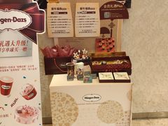 -哈根达斯(西安北郊店)