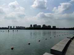 -暨阳湖生态园