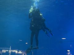 -烟台海昌鲸鲨海洋公园