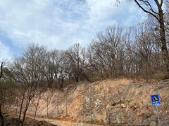 -北京西山国家森林公园