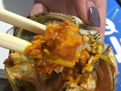 -海桐