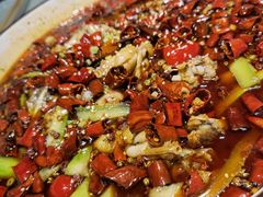 -雲蜀龙阁·金牌水煮鱼(方庄店)