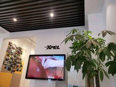 -XPEL旗舰店·汽车贴膜·隐形车衣·改色贴膜