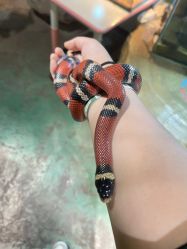 -酷嗒动物文化乐园(cutezoo西溪乐天城店)