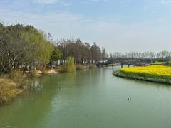 -乌村