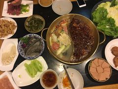 -杨家火锅(国美店)