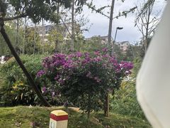 -趣小咖(溪悦荟店)