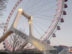 -海河游船-永乐码头(大悲院)