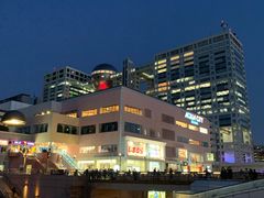 -台场海滨公园船码头