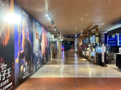 -SFC上影影城(港汇永华IMAX激光店)