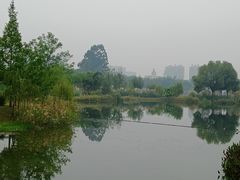 -眉山湿地公园(东坡区)