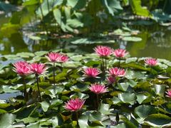 -国家植物园南园