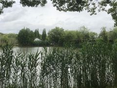 -尚湖风景区