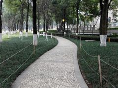 -重庆市江北嘴中央商务区中央公园