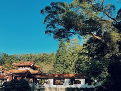 -深圳仙湖植物园
