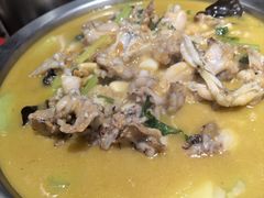 -美蛙四季(亦庄店)