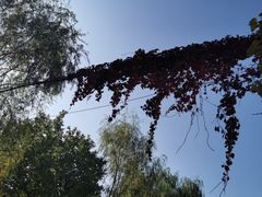 -辽宁大学(崇山校区)