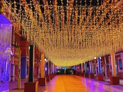 -青岛方特梦幻王国