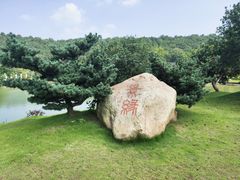 -龙寺生态园