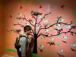 -酷嗒动物文化乐园(cutezoo西溪乐天城店)