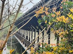 -陈武帝故宫